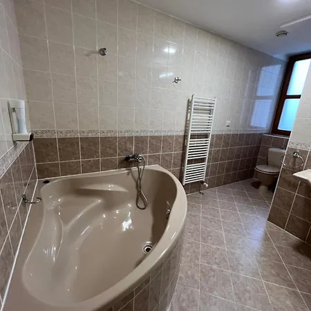 Yura Bazen A Sauny Zdarma 3* Čeladná